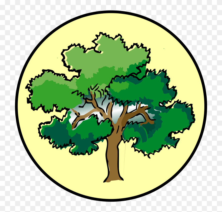 Tree Drawing With Color Clipart