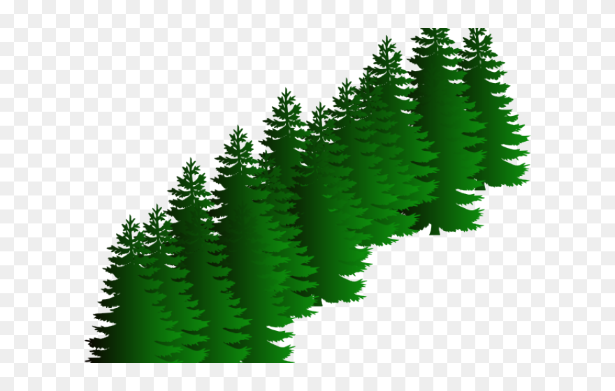 Fir Clipart Evergreen Tree - Transparent Pine Silhouette Tree - Png Download