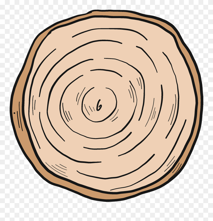Tree Trunk Clipart - Png Download