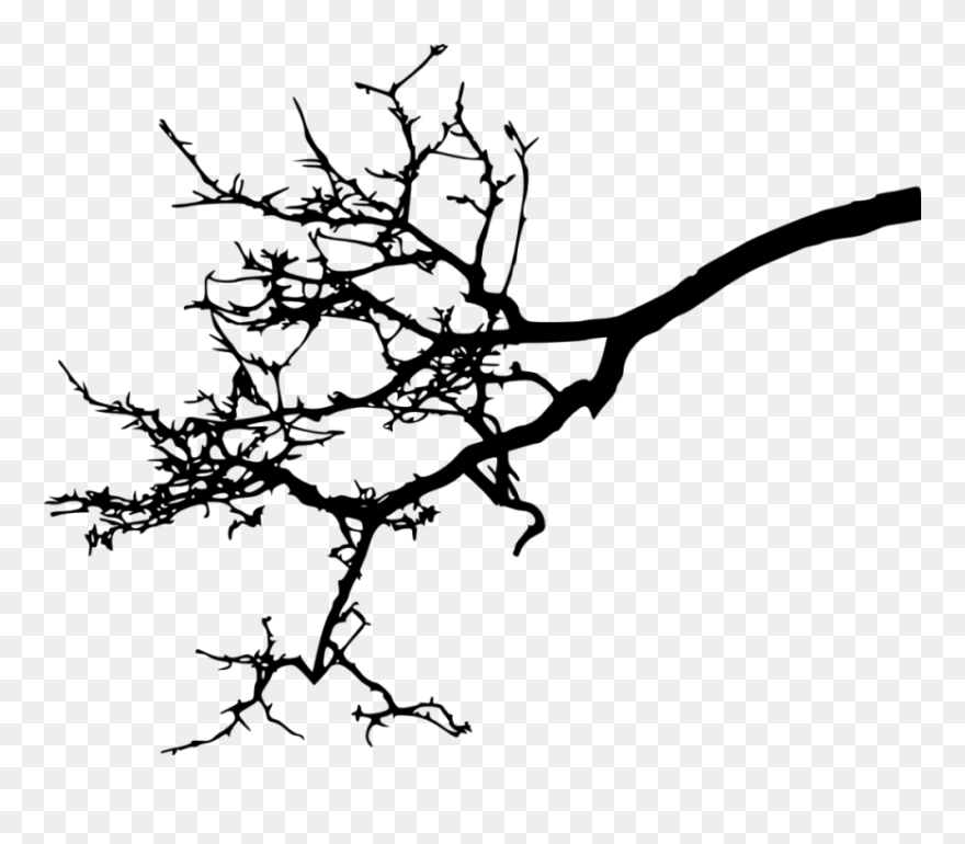 Free Png Tree Branch Silhouette Png Images Transparent - Tree Branch Silhouette Png Clipart