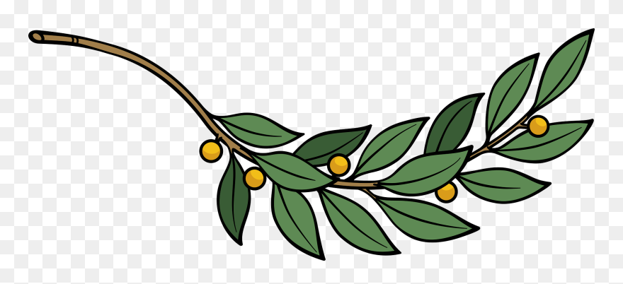Plant,flora,leaf - Branch With Leaves Clipart - Png Download