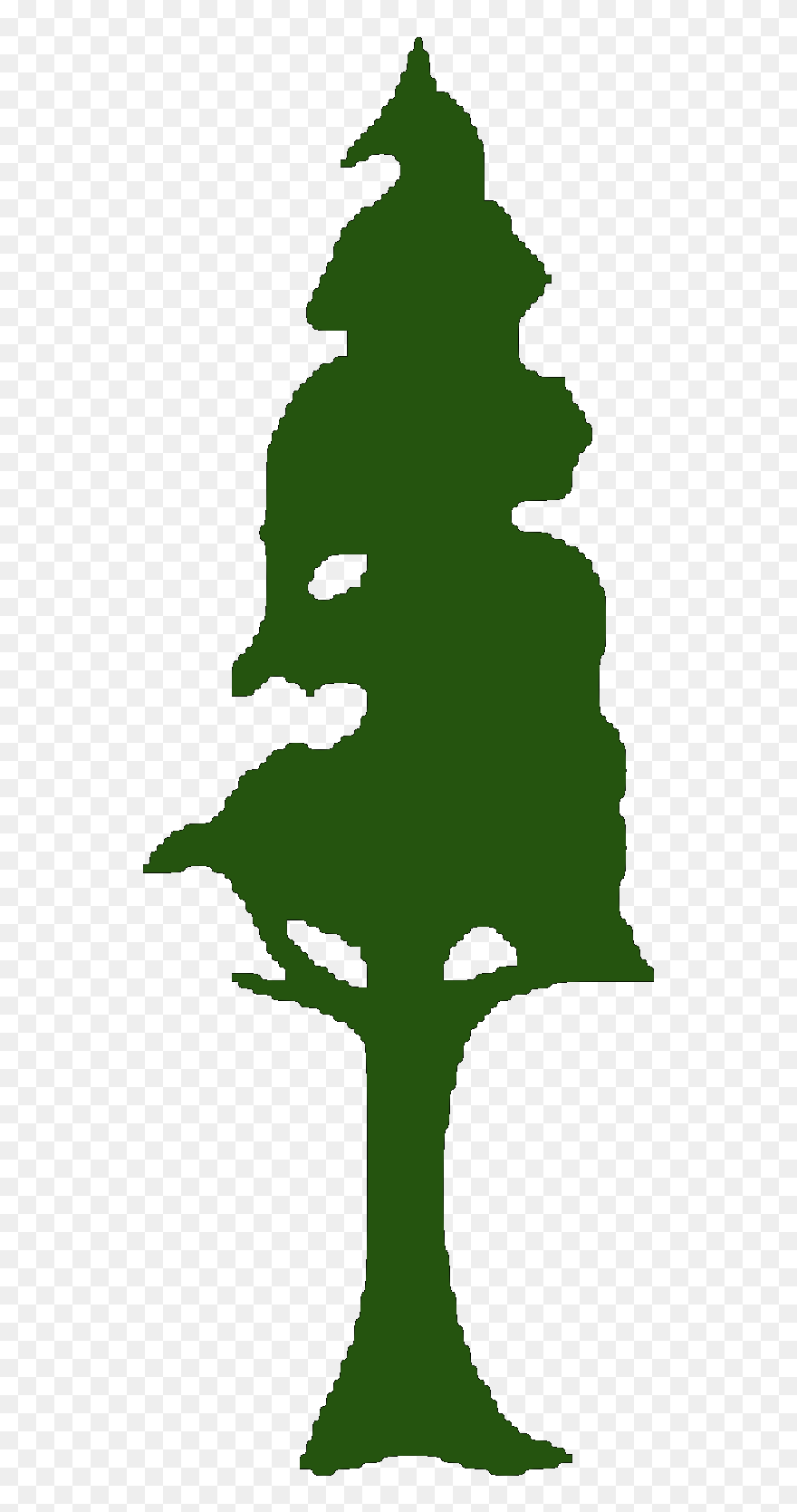 Redwood Tree Brown Green Image Clipart