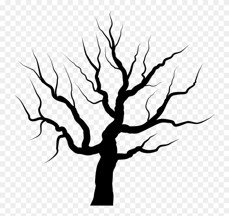 Botany,plant,leaf - Illustration Clipart