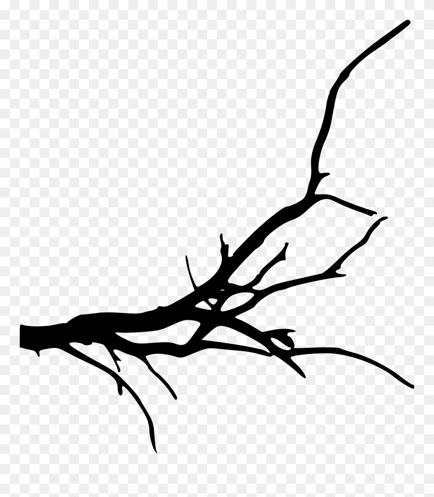Branch Tree Silhouette Clip Art - Transparent Background Tree Branch - Png Download