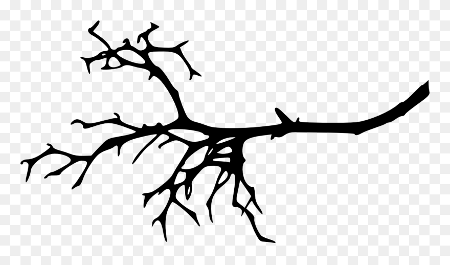 Transparent Tree Silhouette Clipart - Tree Branch Silhouette - Png Download