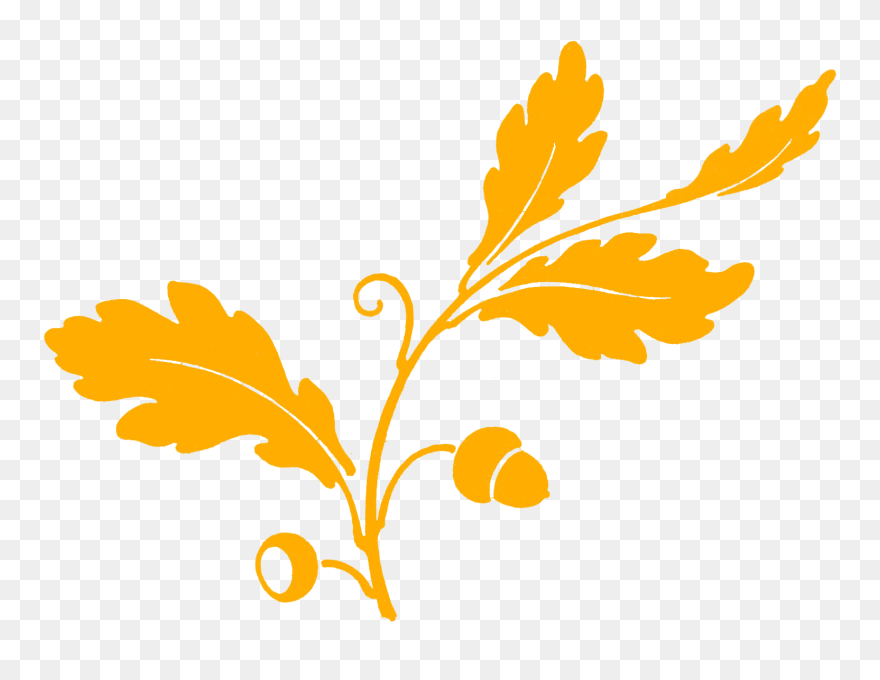 Leaves Oak Tree Silhouette, Silhouette Cameo, Oak Leaves, - Graphics Clipart - Png Download