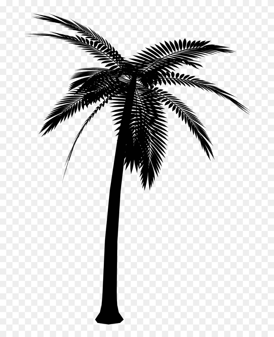 Portable Network Graphics Vector Graphics Clip Art - Vector Palm Tree Png Transparent Png