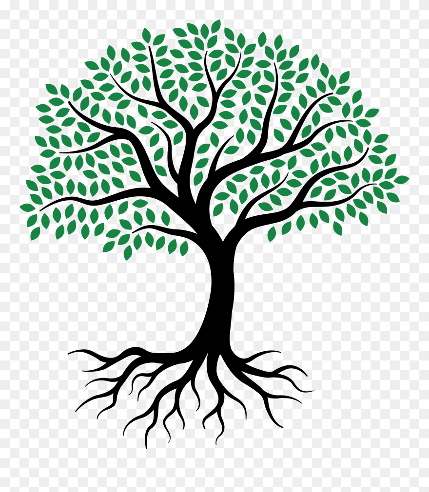 Drawing Root Tree Sketch - Tree Drawing Roots Clipart