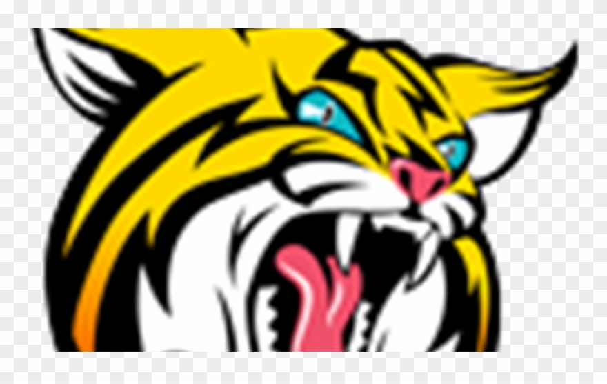 Banner Freeuse Download Bobcat Clipart Tiger - Boca High School Mascot - Png Download