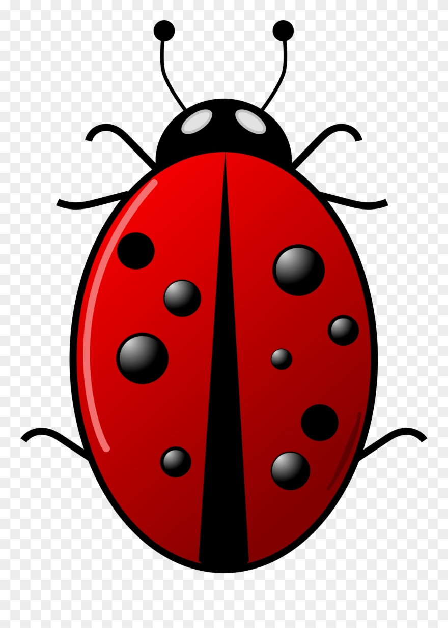 All Photo Png Clipart - Ladybug Clipart Png Transparent Png
