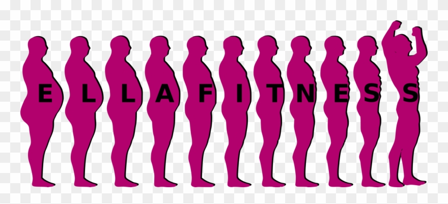 Physical Fitness Aerobic Exercise Weight Loss Fitness - Ella Fitness Clipart