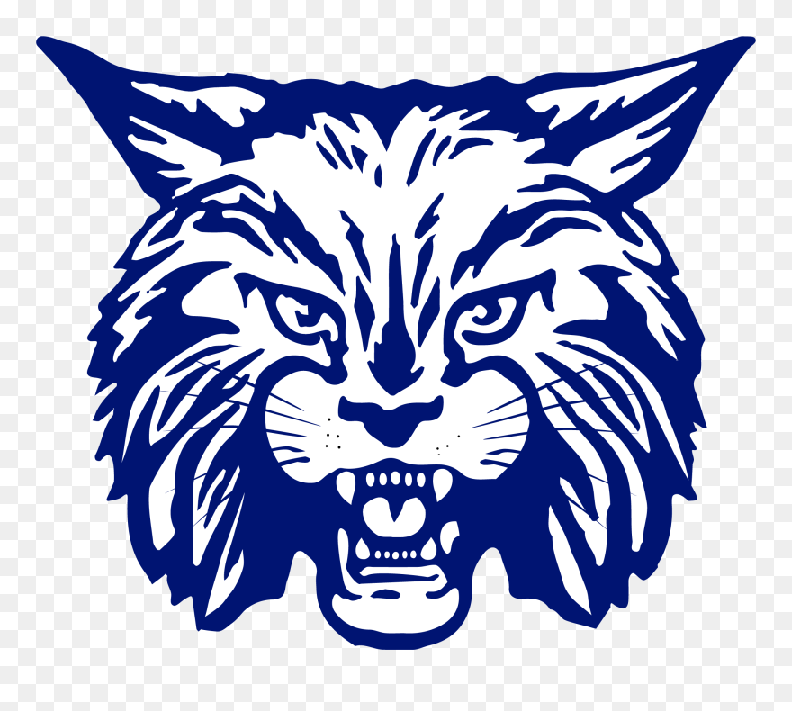 Bobcat Clipart School - Dimmitt Bobcats - Png Download