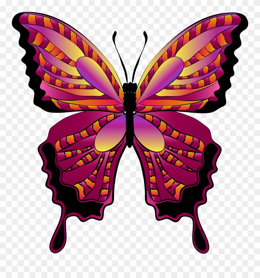 Butterfly Clipart - Png Download