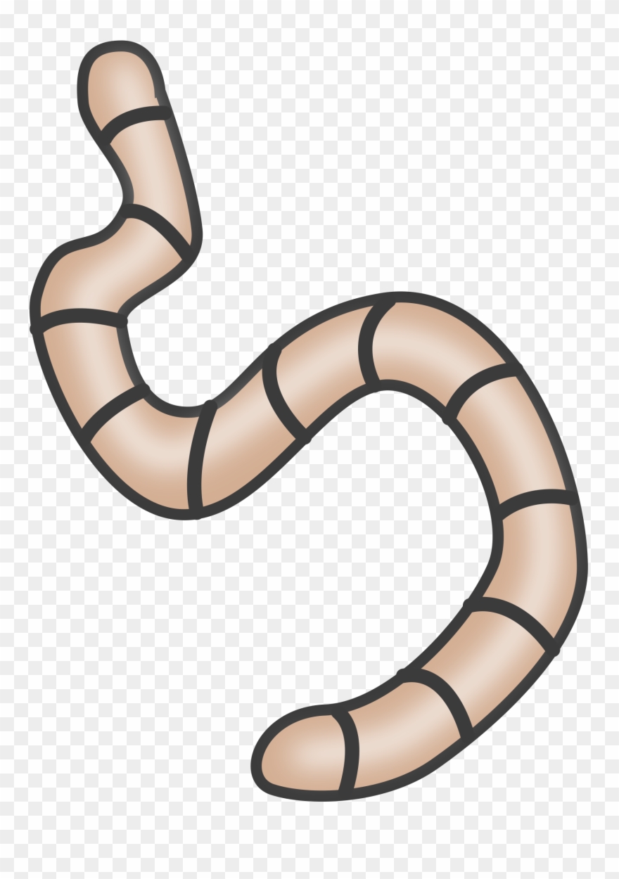 Clipart - Transparent Background Worm Clipart - Png Download