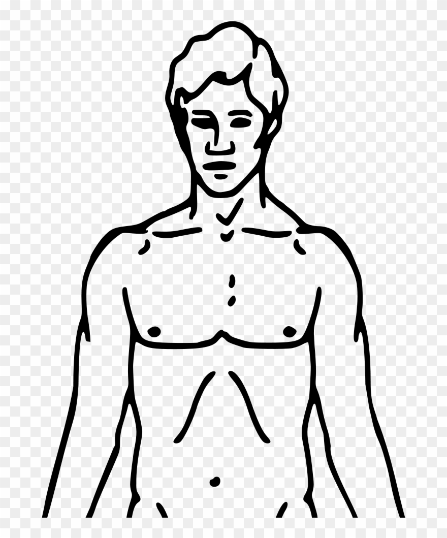 Cartoon Lacrosse Sticks - Chemical Basis Of Love Clipart