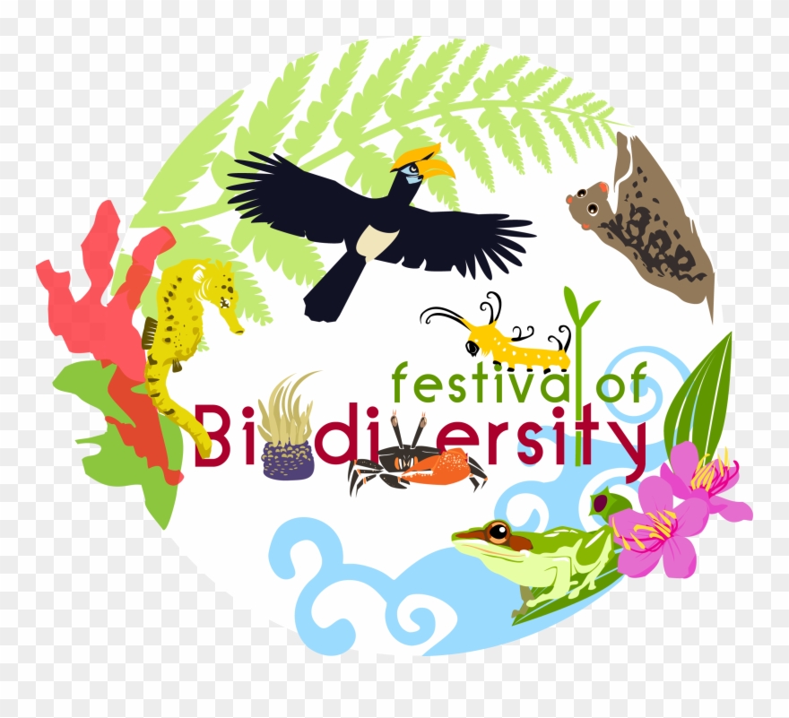 Exhibit Clipart Poster Presentation - Conservation Of Biodiversity Poster - Png Download