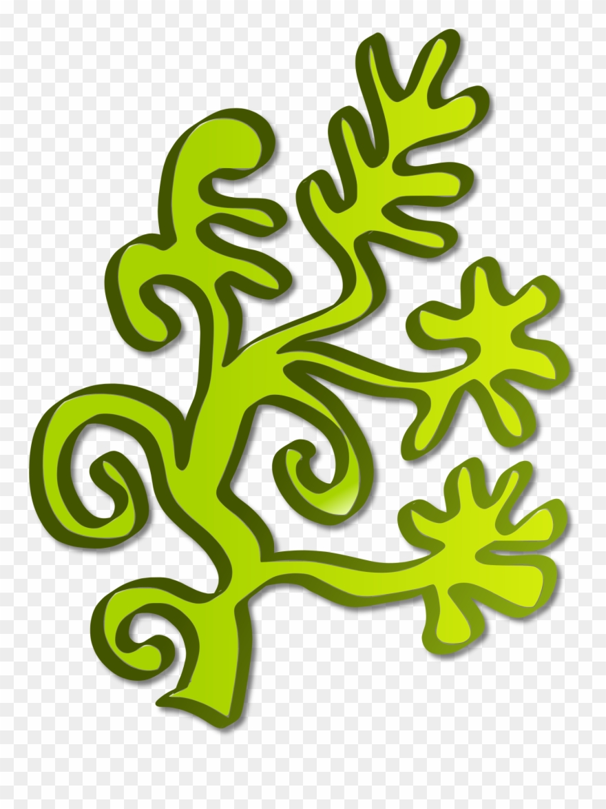 Berry Clipart Strawberry Shortcake - Algae Clipart Png Transparent Png