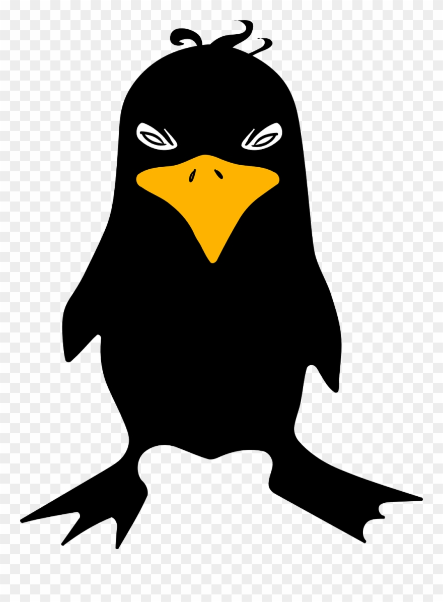 Black Clip Art Texas State Clipart Panda Free Clipart - Blackbird Clip Art - Png Download