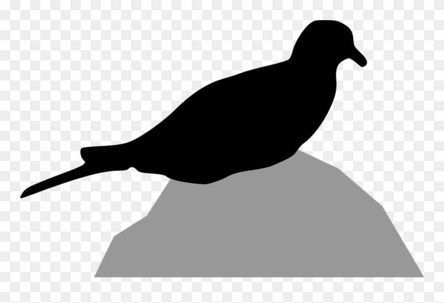Dove Clip Art - ภาพ เงา สัตว์ กราฟฟิก - Png Download