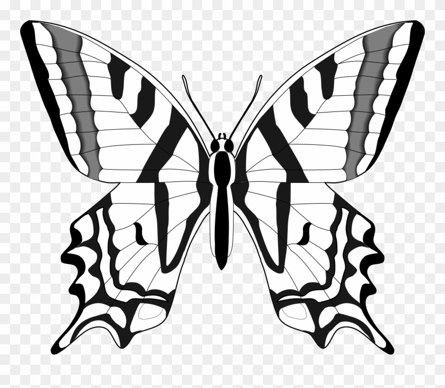 Butterfly Black And White Clip Art - Clipart Butterfly Black And White - Png Download