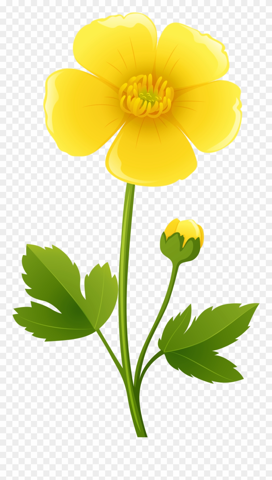 Clipart Freeuse Library California State Flower Clipart - Yellow Flowers Clipart - Png Download