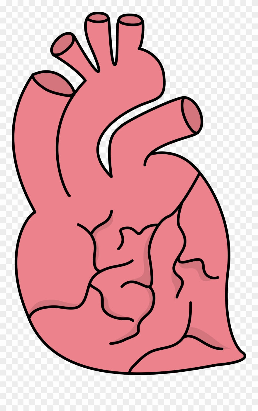 Image For Free Heart Health High Resolution Clip Art - Png Download