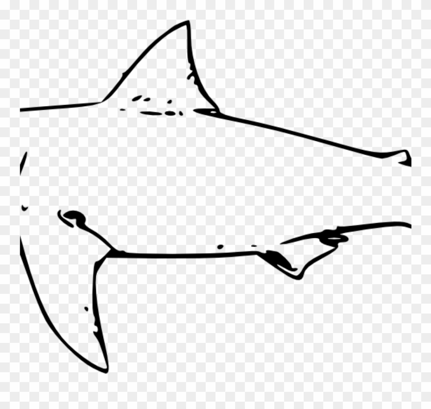 Shark Clipart Black And White Shark Clipart Black And - Great White Shark Line Art - Png Download