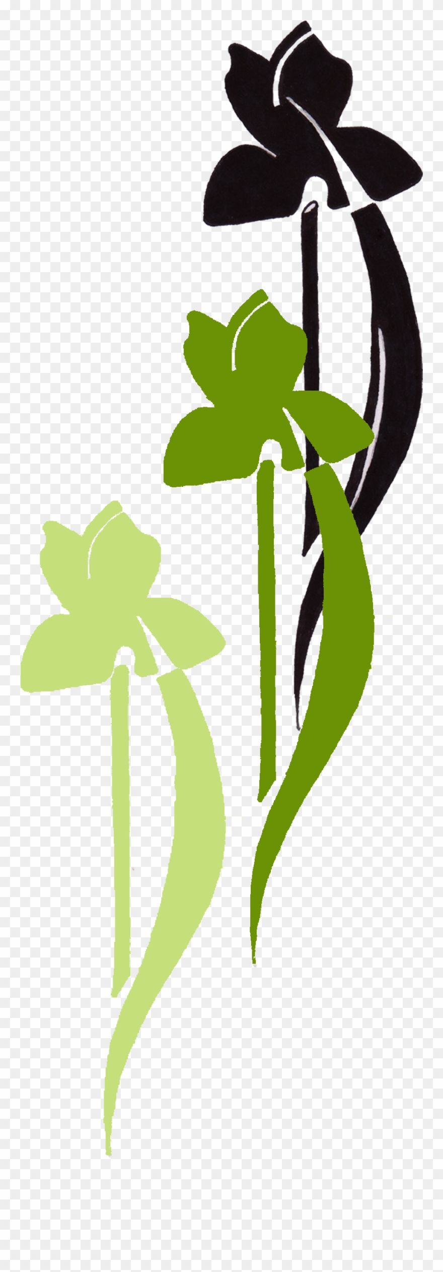 Prlimages - Black And Green Iris Multi Copy Throw Blanket Clipart