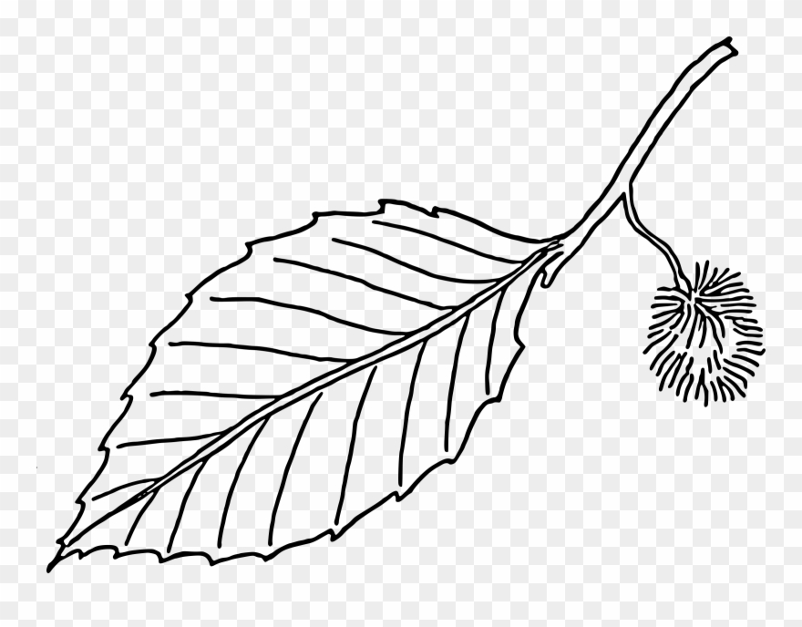 Clipart Leaves Black And White - Leaf In Black And White - Png Download