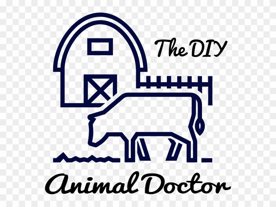 How To Use The New Mothers Day - Personalised The Face Of Any Name Gift Make Up Statement Clipart