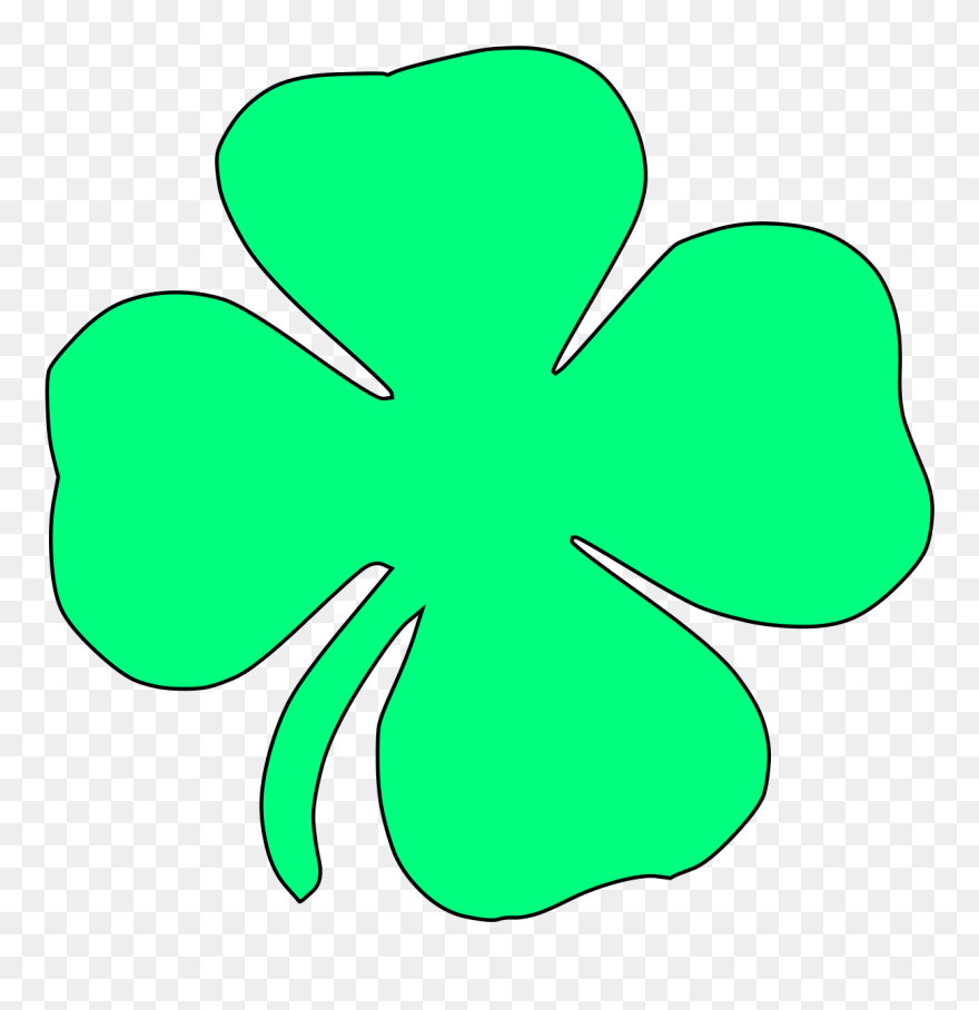 Clover Clipart Large - Shamrock Clipart White Background - Png Download