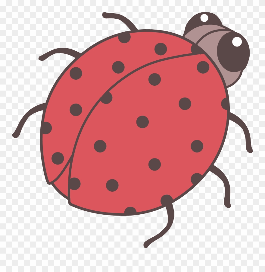 Beetle Clipart Cute - Cute Bug Drawing Png Transparent Png