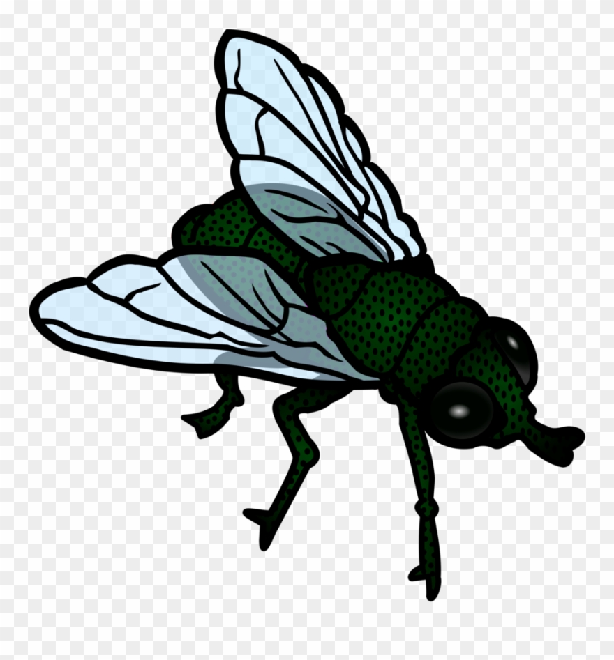 Free To Use & Public Domain Insects Clip Art - Transparent Flies Clip Art - Png Download