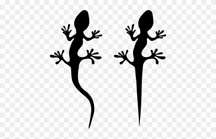 Lizard Clipart Black And White 5 - Png Download