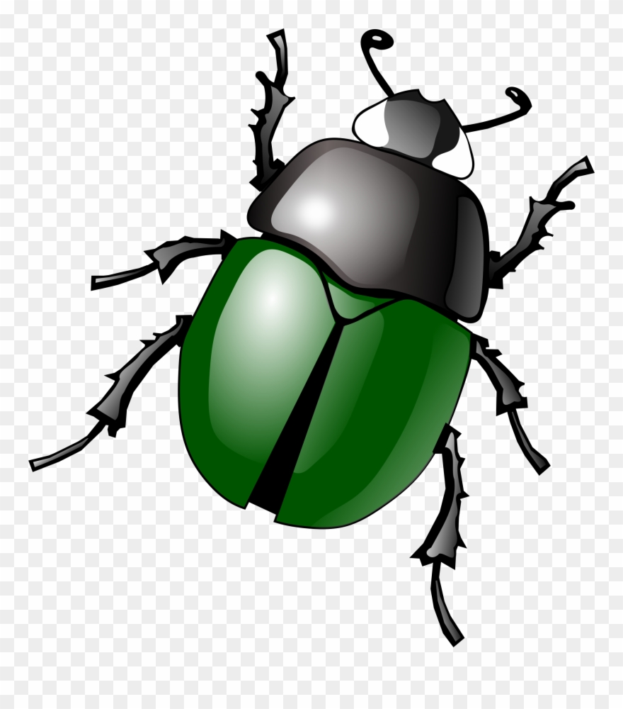 Bug Clip Art Free Clipart Images - Beetle Clipart - Png Download