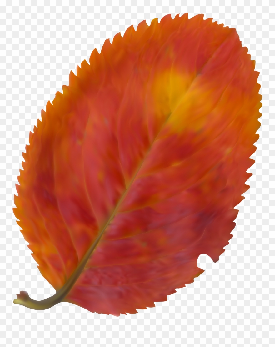 Fall Clip Art Images Free - Png Download