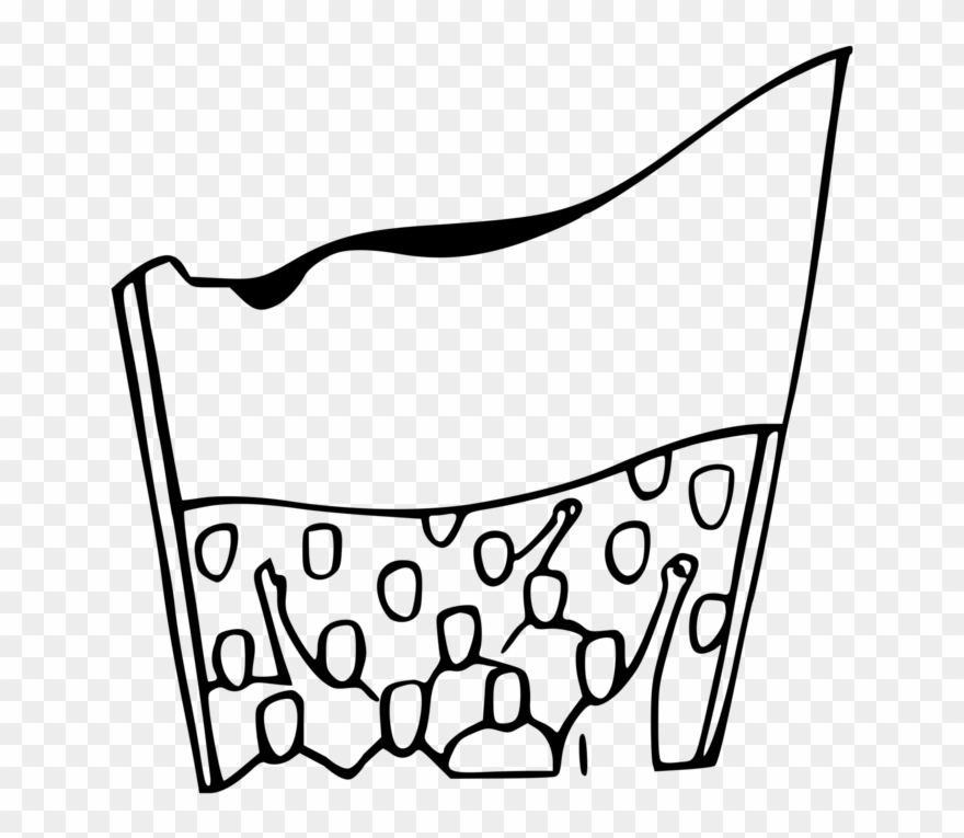 All Photo Png Clipart - Demonstration Png Transparent Png