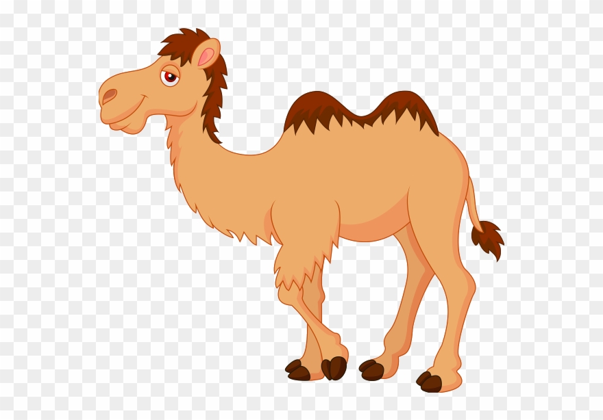 Top 87 Camel Clip Art Free Clipart Image - Cartoon Image Of Camel - Png Download