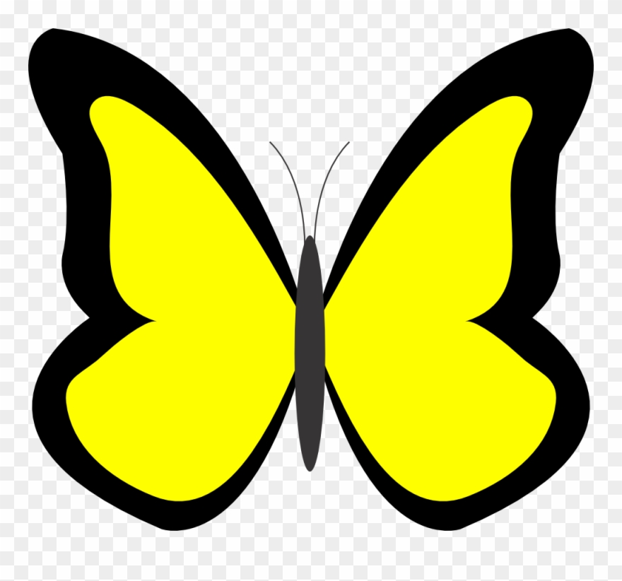 Purple Butterfly Border Clipart - Butterfly In Yellow Colour - Png Download