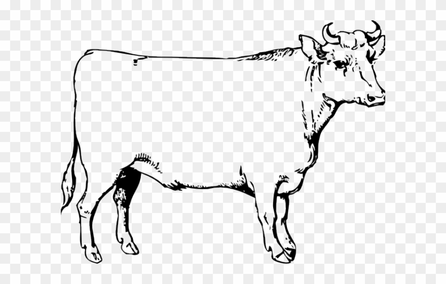 Drawn Ox Clip - Ox Clip Art - Png Download