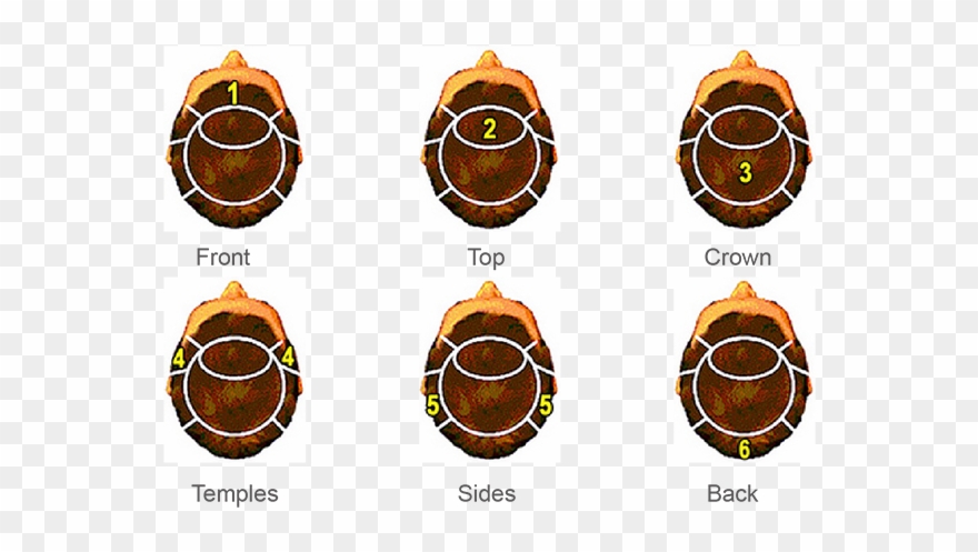 Hair Cut Style Options Of Systems Lordhair - Hair Cut Size Clipart