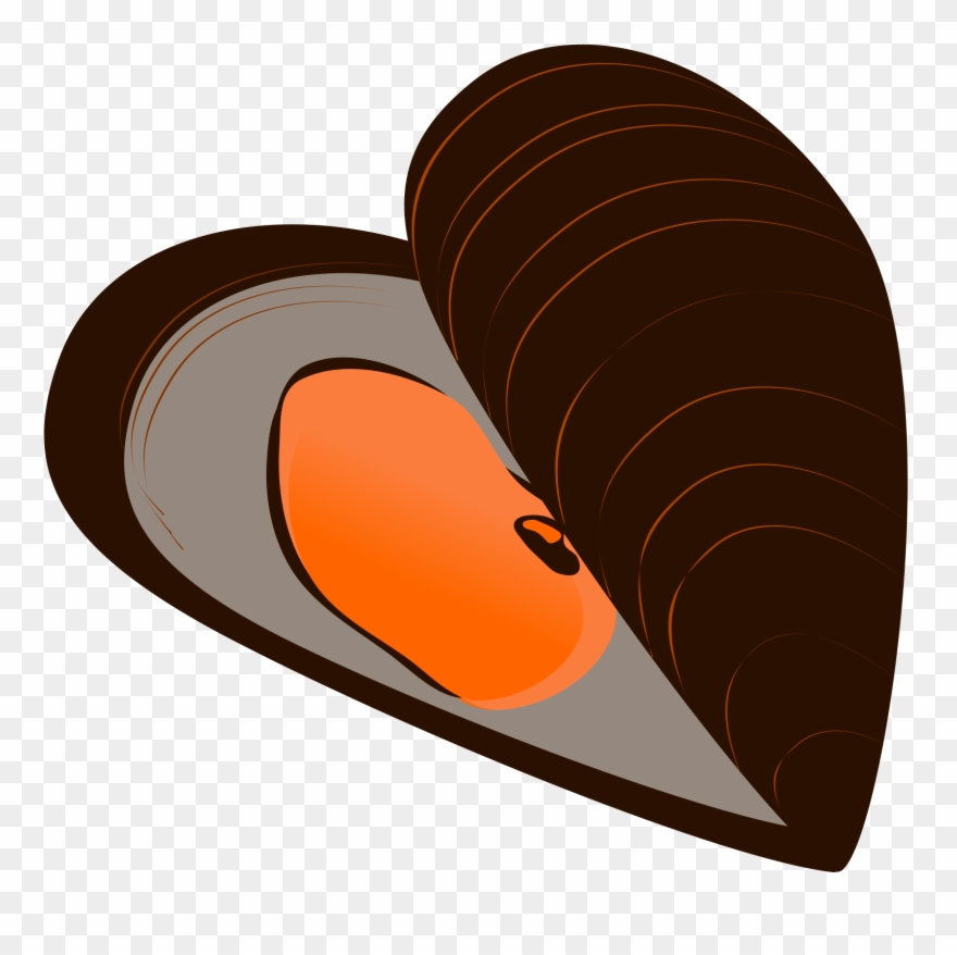 Download Image Black And White Download Library Bookshelf - Mejillón Clipart - Png Download