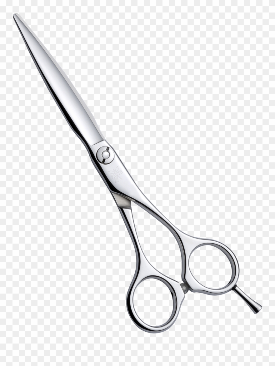Shears Drawing Shear Clipart