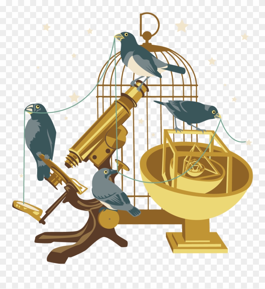 Theory - Salon Theory Wash Park Clipart