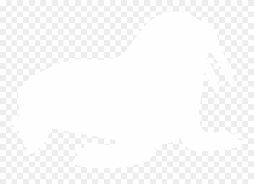 Walrus Silhouette By Paperlightbox - Walrus Silhouette Clipart