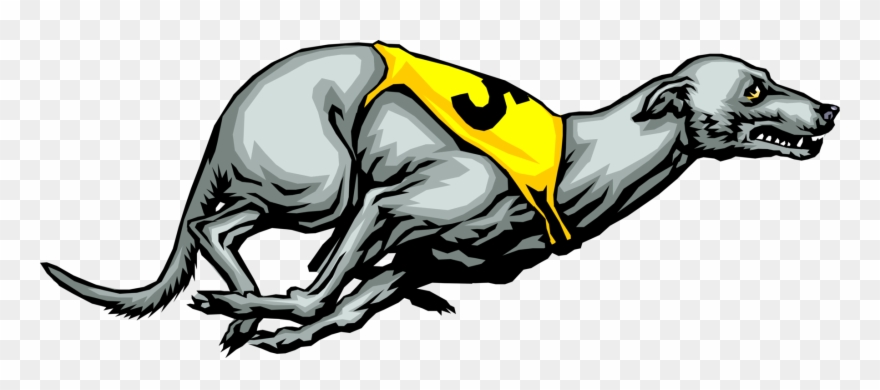 Greyhound Clipart Greyhound Racing - Greyhound Racing Clipart - Png Download