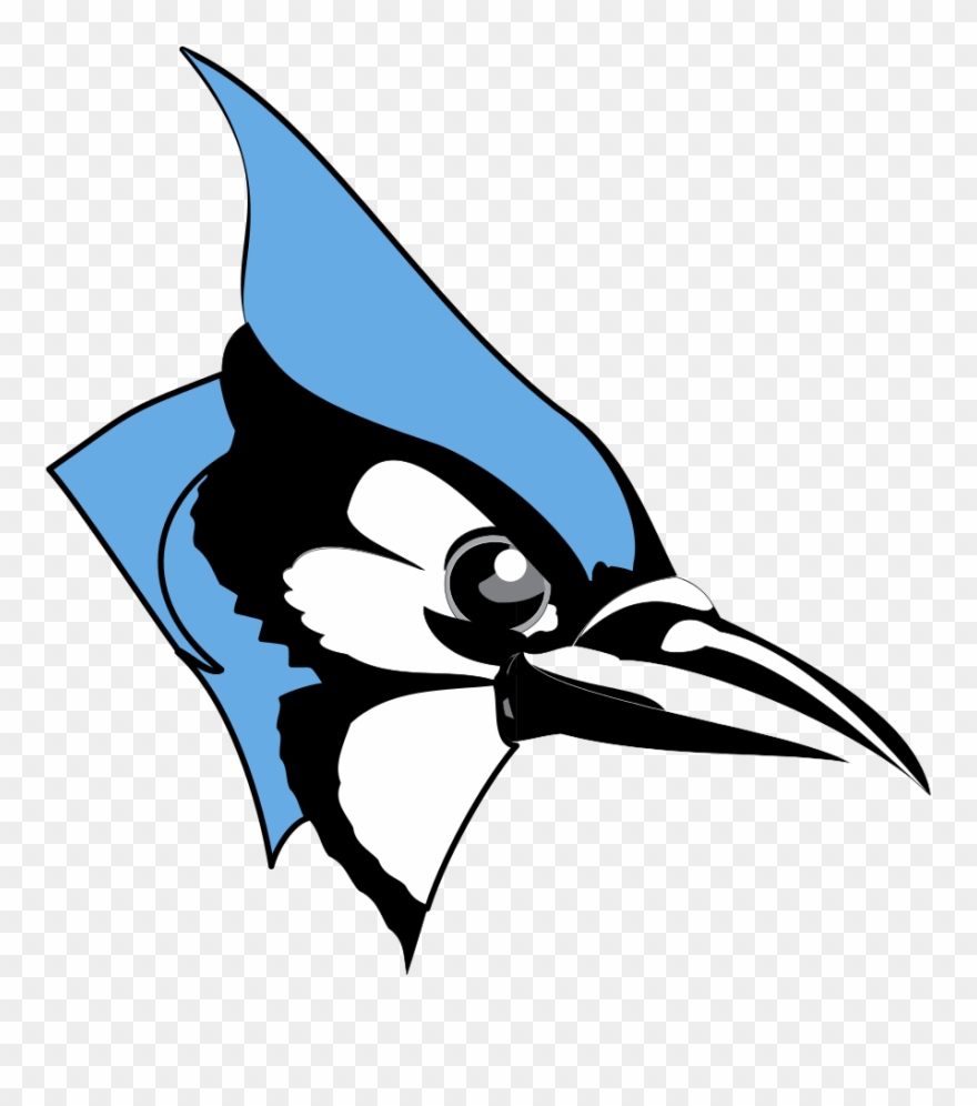 Jay Clipart Transparent - Johns Hopkins University Blue Jay - Png Download
