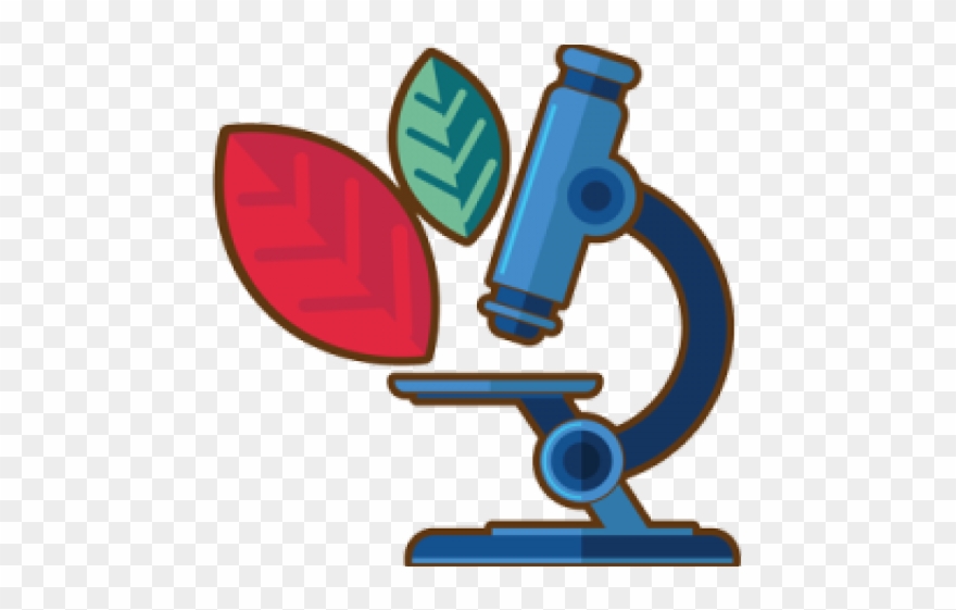 Software Development Clipart Vulnerability - Software - Png Download