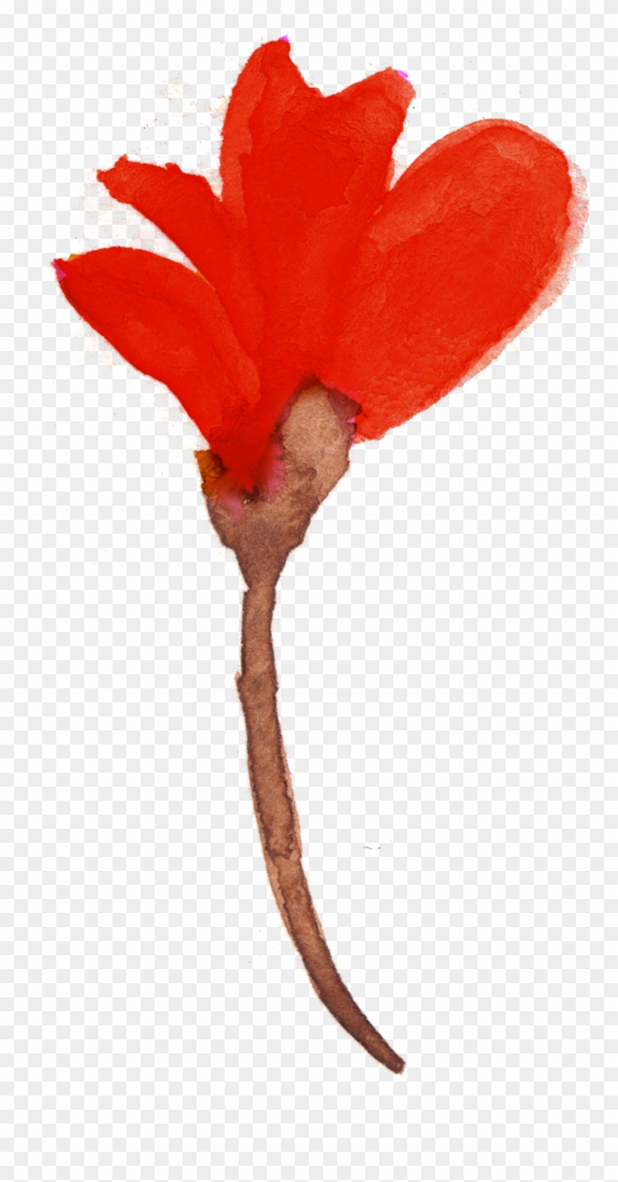 Free Watercolor Floral Elements- Pretty - Watercolor Painting Clipart