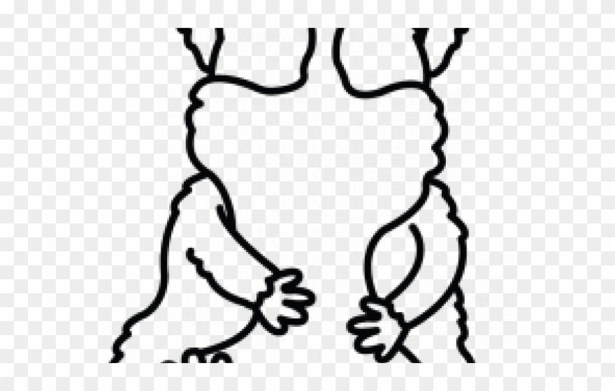 Guinea Pig Clipart Line Drawing - Drawing - Png Download